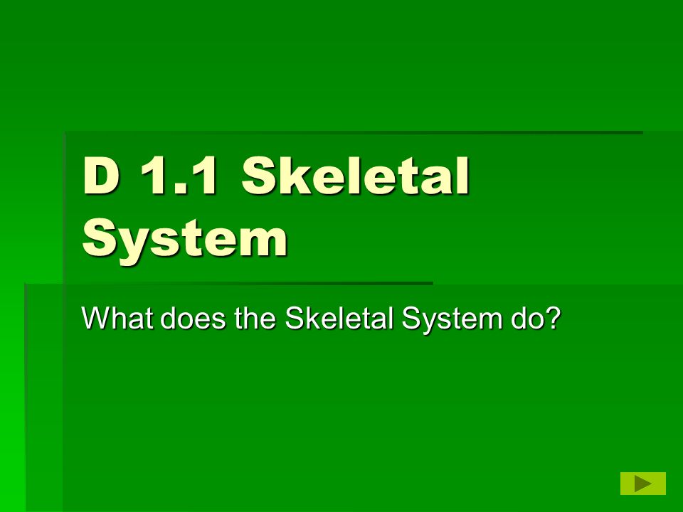D 1.1 Skeletal System What does the Skeletal System do