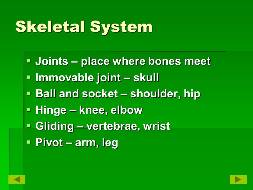 Skeletal System  Joints – place where bones meet  Immovable joint – skull  Ball and socket – shoulder, hip  Hinge – knee, elbow  Gliding – vertebrae, wrist  Pivot – arm, leg