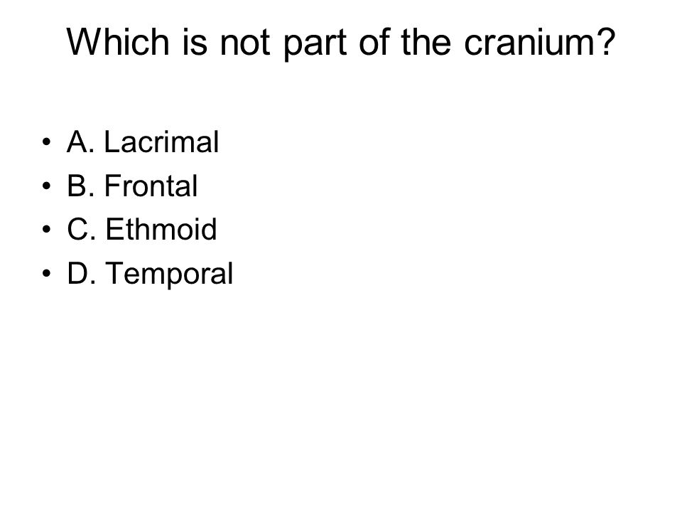 Which is not part of the cranium A. Lacrimal B. Frontal C. Ethmoid D. Temporal