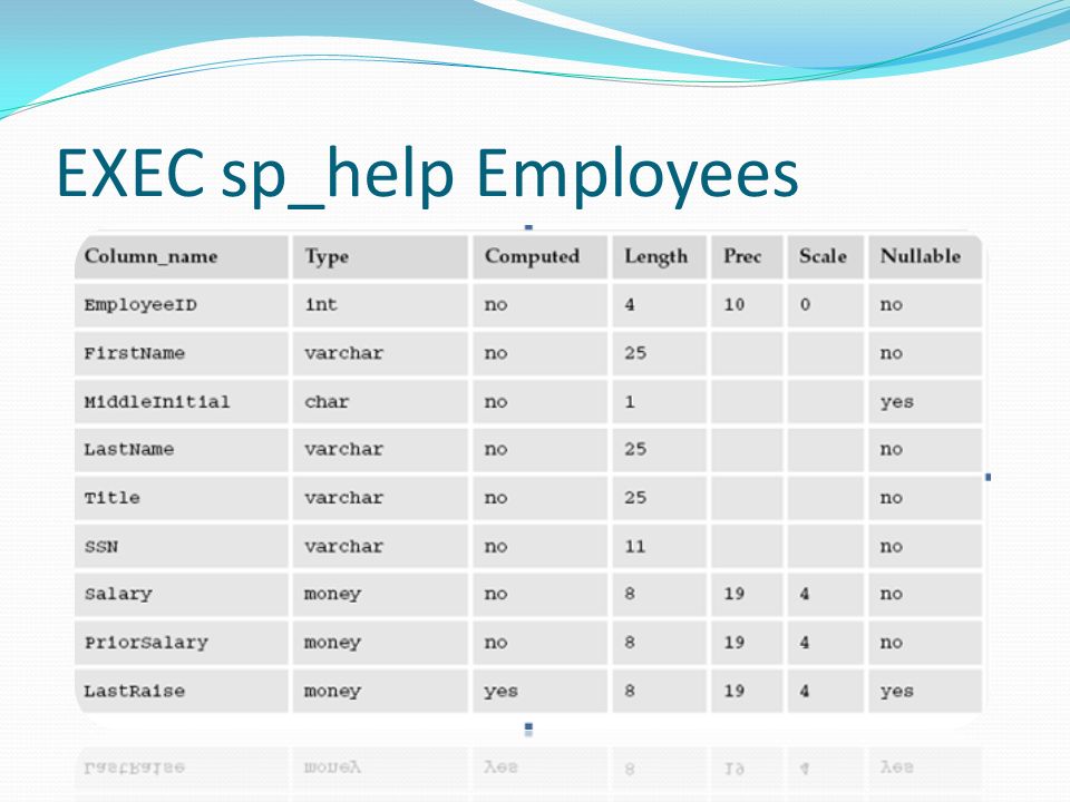 EXEC sp_help Employees
