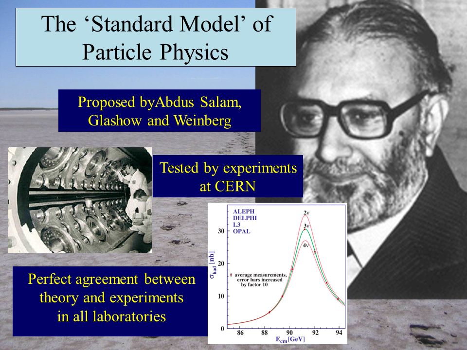 Image result for salam pic physics cern