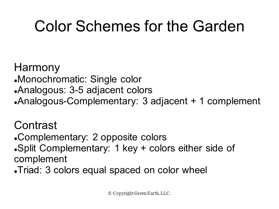 The Gardener’s Color Wheel