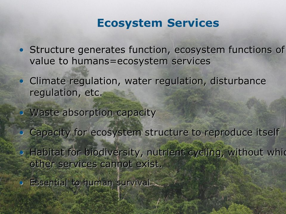 14 Ecosystem Services Structure generates function, ecosystem functions of value to humans=ecosystem servicesStructure generates function, ecosystem functions of value to humans=ecosystem services Climate regulation, water regulation, disturbance regulation, etc.Climate regulation, water regulation, disturbance regulation, etc.