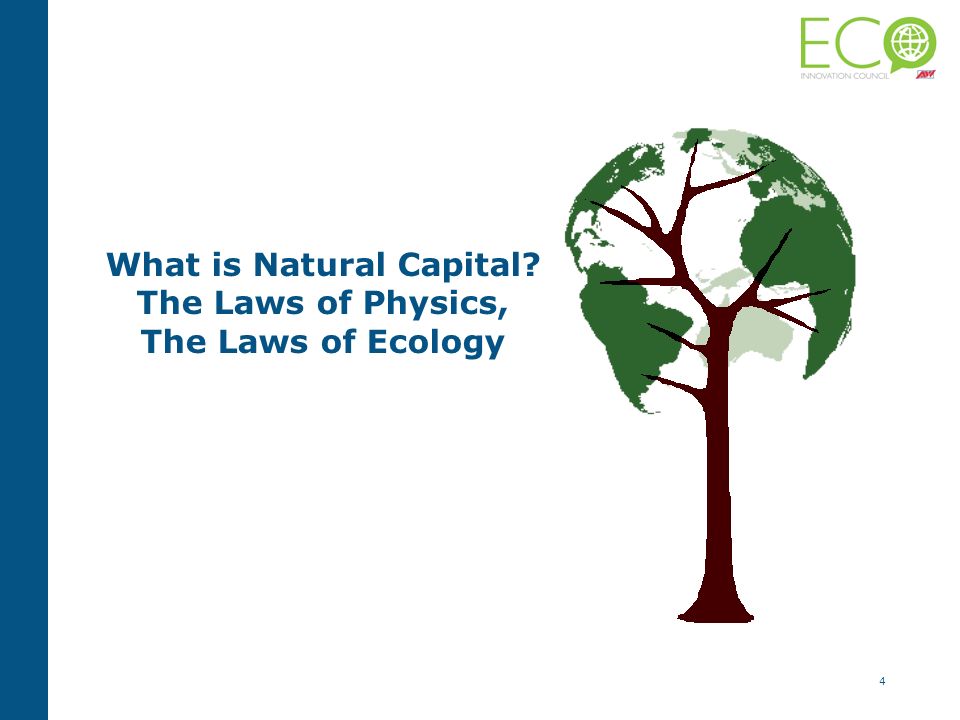 4 What is Natural Capital The Laws of Physics, The Laws of Ecology
