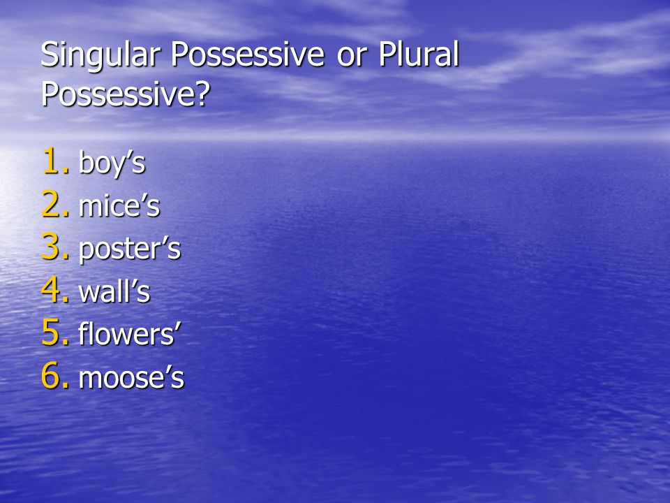 Singular Possessive or Plural Possessive. 1. boy’s 2.
