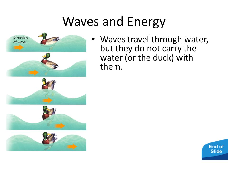 What exactly is a wave.