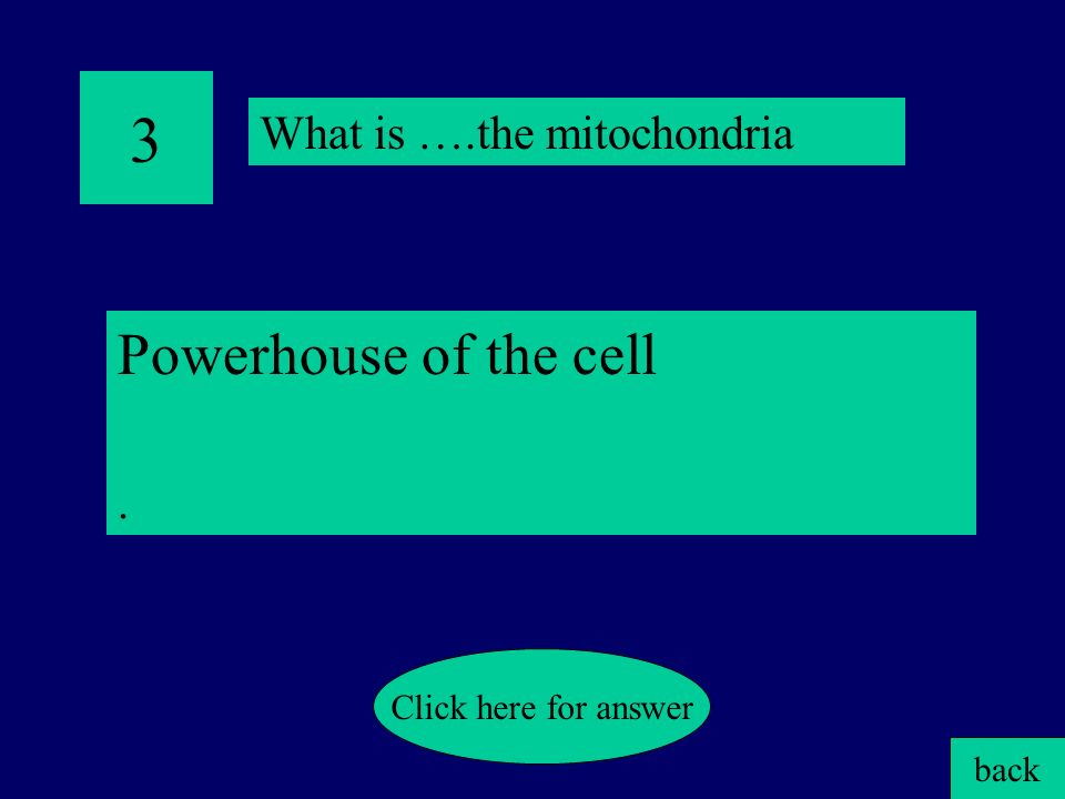 2 Site of ribosome synthesis. back Click here for answer What is ….the nucleolus