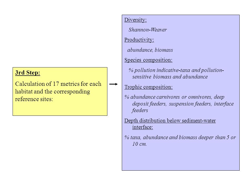 3rd Step: Calculation of 17 metrics for each habitat and the corresponding reference sites: Diversity: Shannon-Weaver Productivity: abundance, biomass Species composition: % pollution indicative-taxa and pollution- sensitive biomass and abundance Trophic composition: % abundance carnivores or omnivores, deep deposit feeders, suspension feeders, interface feeders Depth distribution below sediment-water interface: % taxa, abundance and biomass deeper than 5 or 10 cm.