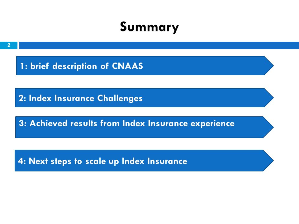 Summary 2 1: brief description of CNAAS 2: Index Insurance Challenges 3: Achieved results from Index Insurance experience 4: Next steps to scale up Index Insurance