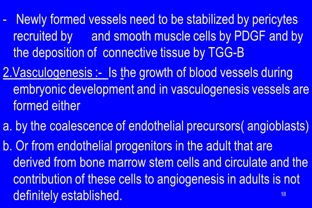 - Newly formed vessels need to be stabilized by pericytes recruited by and smooth muscle cells by PDGF and by the deposition of connective tissue by TGG-B 2.Vasculogenesis :- Is the growth of blood vessels during embryonic development and in vasculogenesis vessels are formed either a.