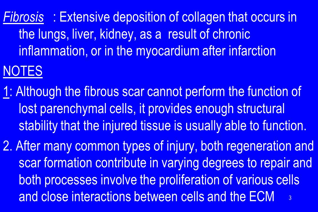 Fibrosis : Extensive deposition of collagen that occurs in the lungs, liver, kidney, as a result of chronic inflammation, or in the myocardium after infarction NOTES 1: Although the fibrous scar cannot perform the function of lost parenchymal cells, it provides enough structural stability that the injured tissue is usually able to function.