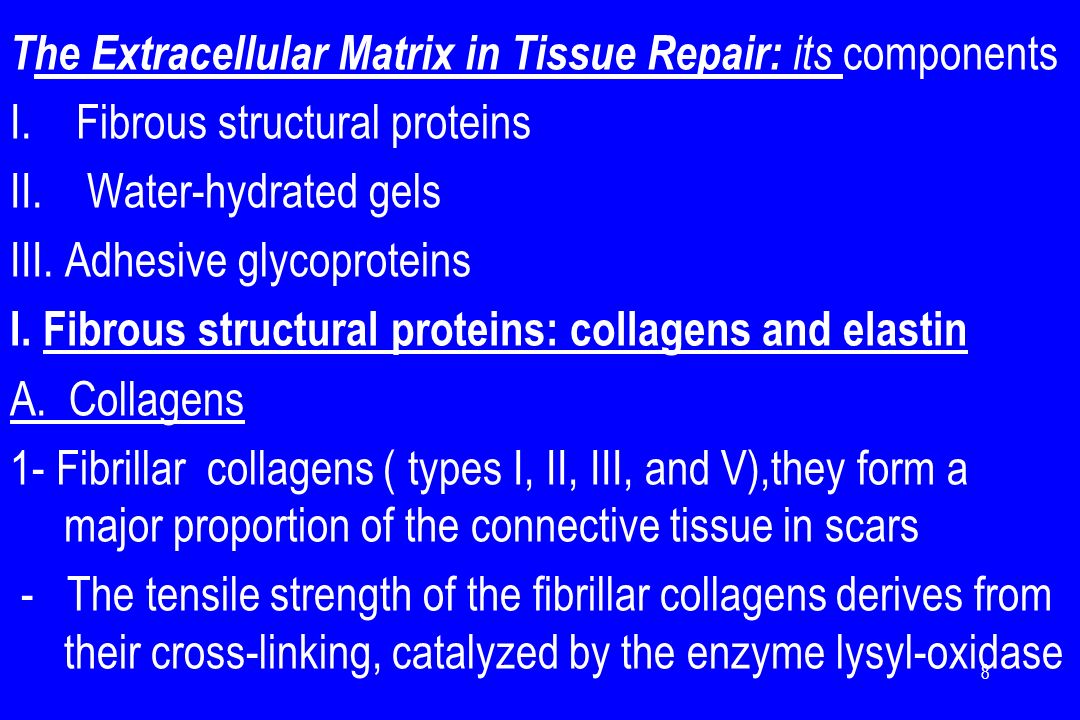 The Extracellular Matrix in Tissue Repair: its components I.