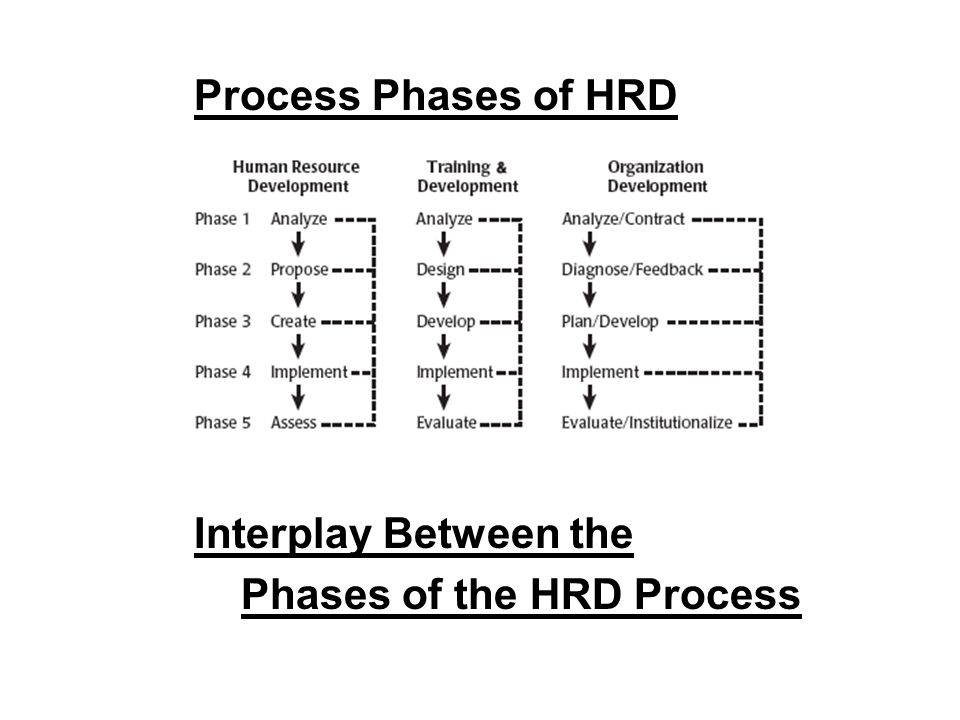 hrd process model