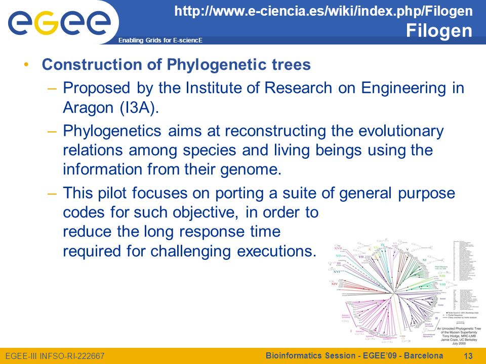 Enabling Grids for E-sciencE EGEE-III INFSO-RI Filogen Construction of Phylogenetic trees –Proposed by the Institute of Research on Engineering in Aragon (I3A).