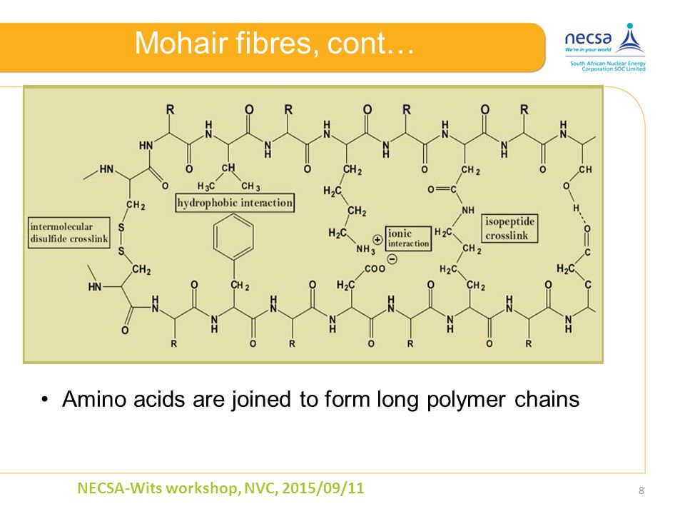 Mohair fibres, cont… 8 NECSA-Wits workshop, NVC, 2015/09/11 Amino acids are joined to form long polymer chains