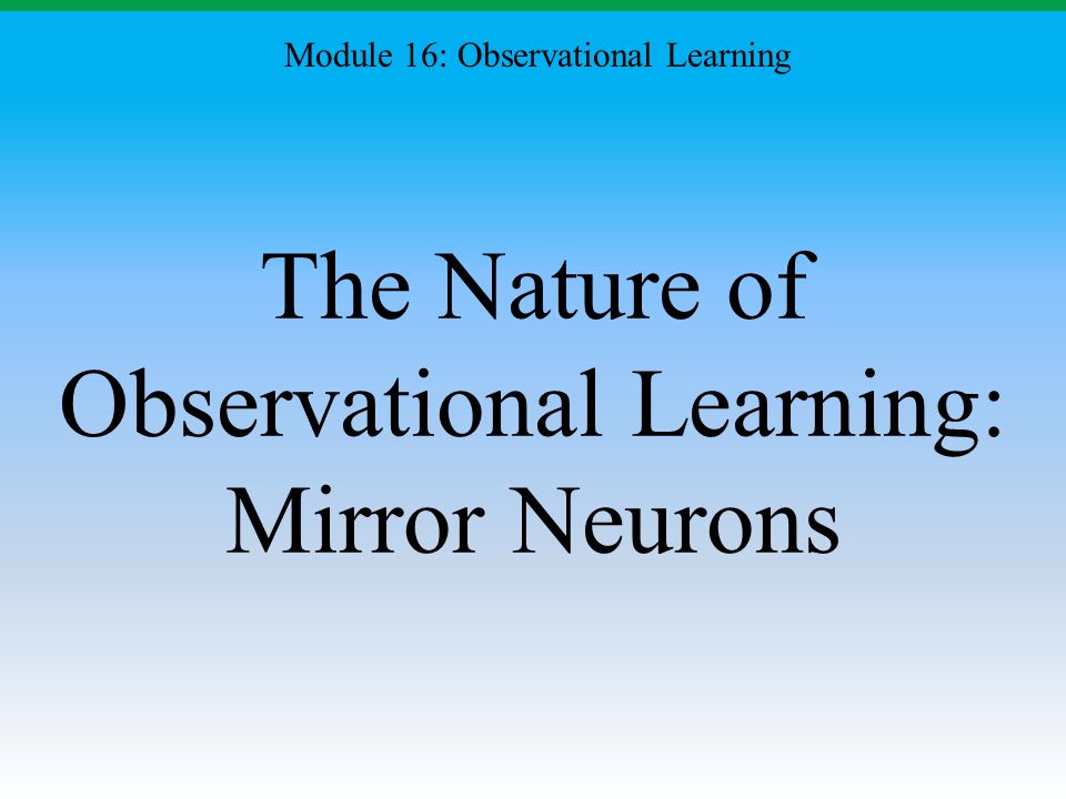 The Nature of Observational Learning: Mirror Neurons Module 16: Observational Learning