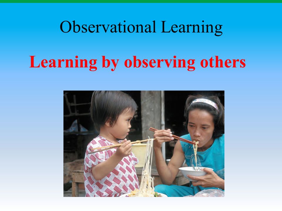 Learning by observing others