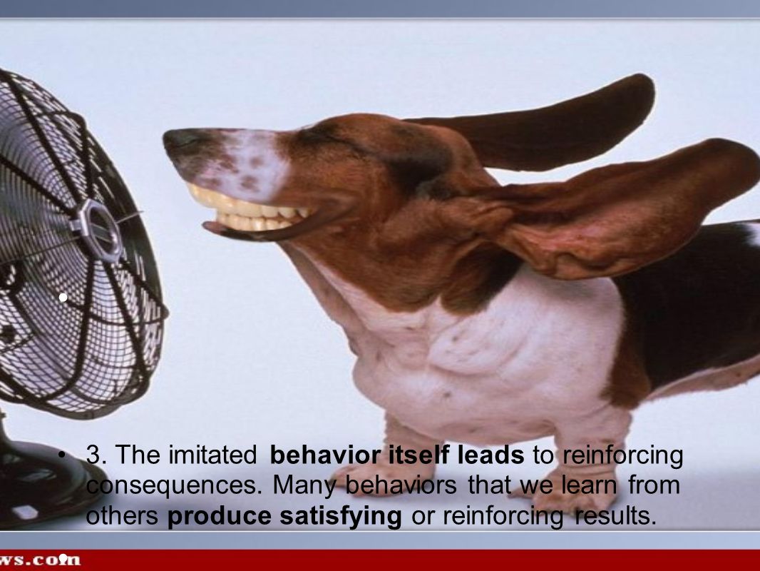 3. The imitated behavior itself leads to reinforcing consequences.