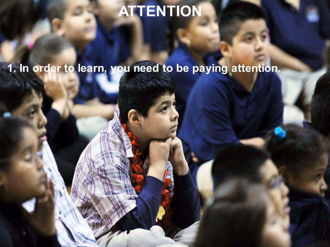 1. In order to learn, you need to be paying attention. ATTENTION
