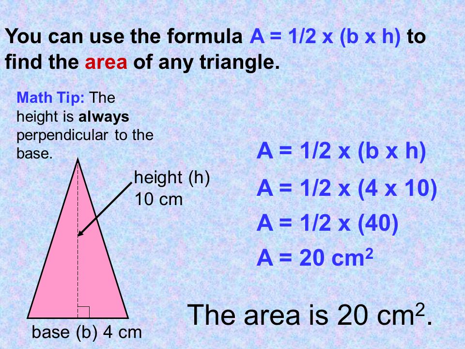 You can use the formula A = 1/2 x (b x h) to find the area of any triangle.