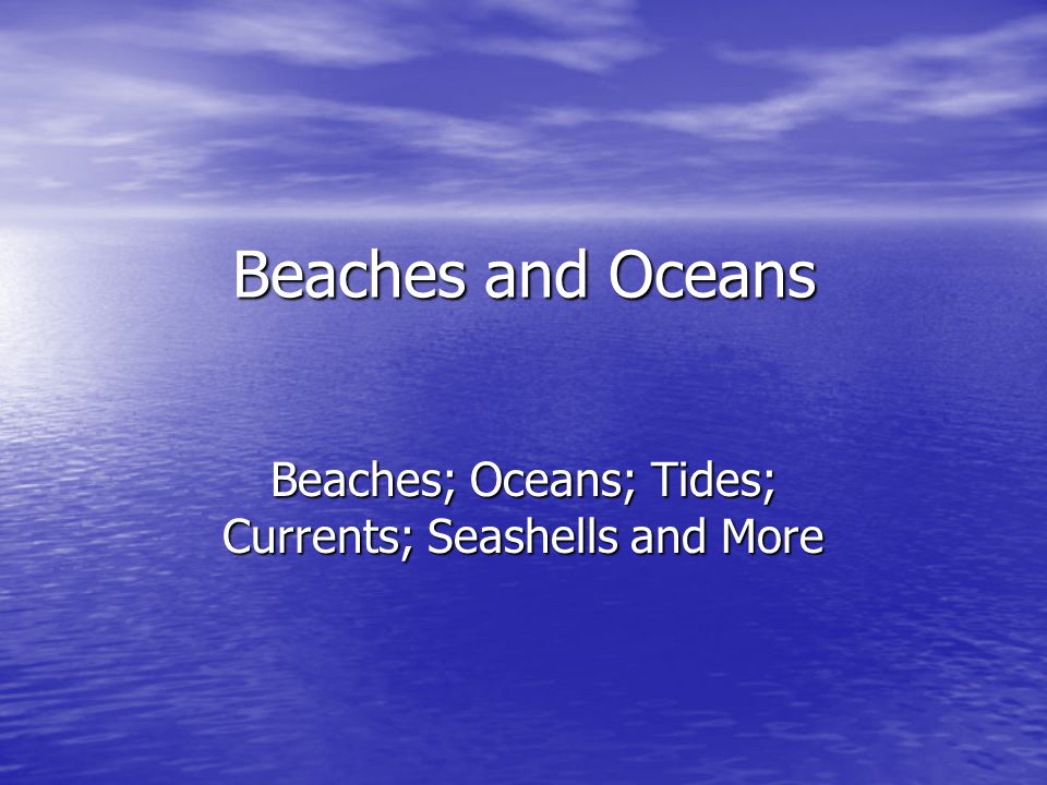 Ocean Beach Tide Chart