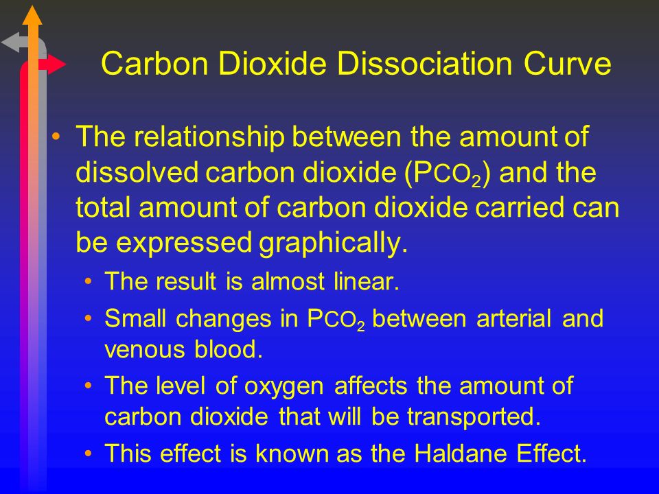 Carbon Dioxide Dissociation Curve The relationship between the amount of dissolved carbon dioxide (P CO 2 ) and the total amount of carbon dioxide carried can be expressed graphically.