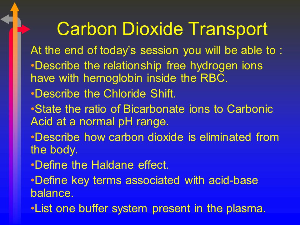 Carbon Dioxide Transport At the end of today’s session you will be able to : Describe the relationship free hydrogen ions have with hemoglobin inside the RBC.