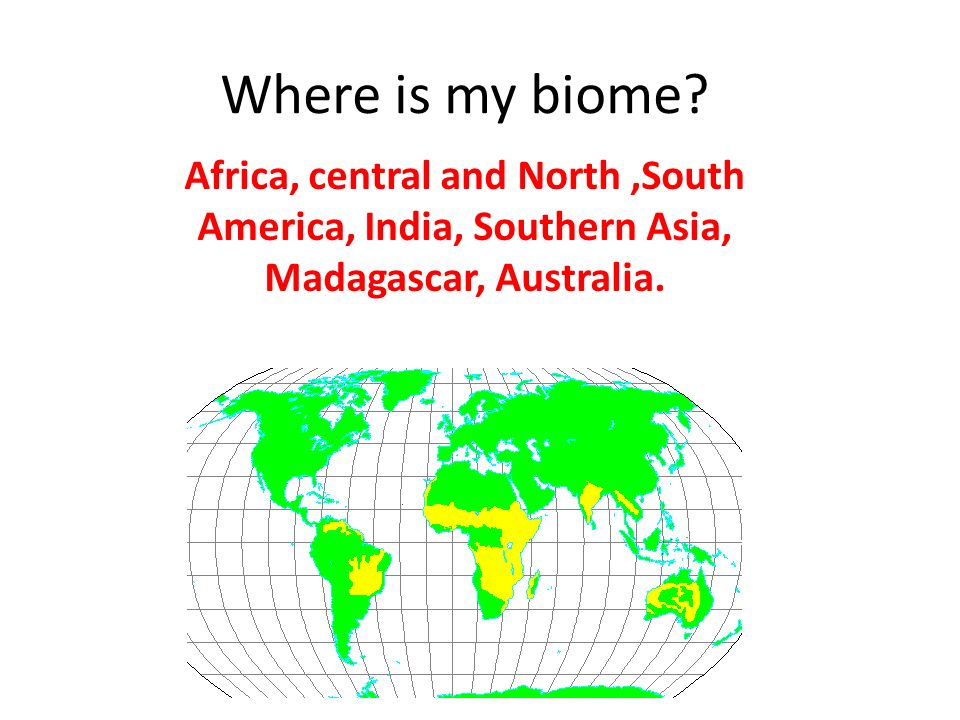 Where Is My Biome Africa Central And Northsouth America - 