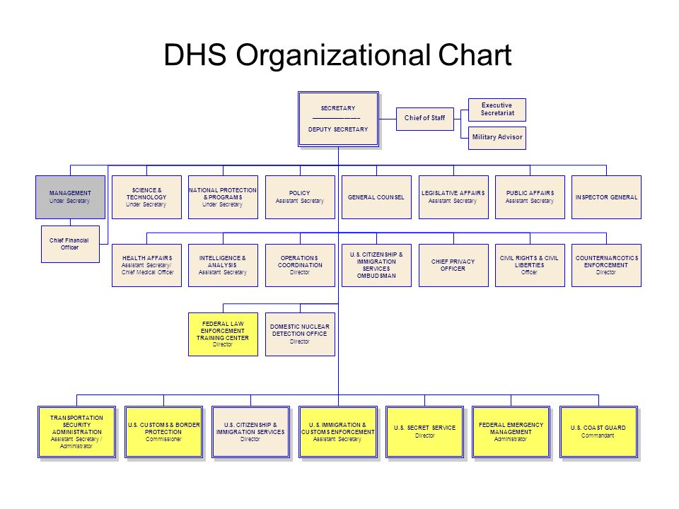 Dhs Organizational Chart