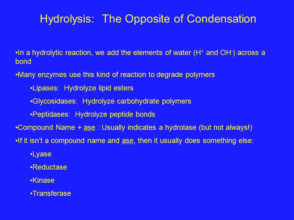 Condensation Reactions Two molecules combine with the generation of a  smaller molecule. - ppt download