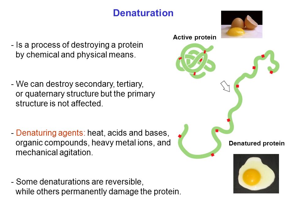 Αποτέλεσμα εικόνας για denaturalisation chemical substances for proteins