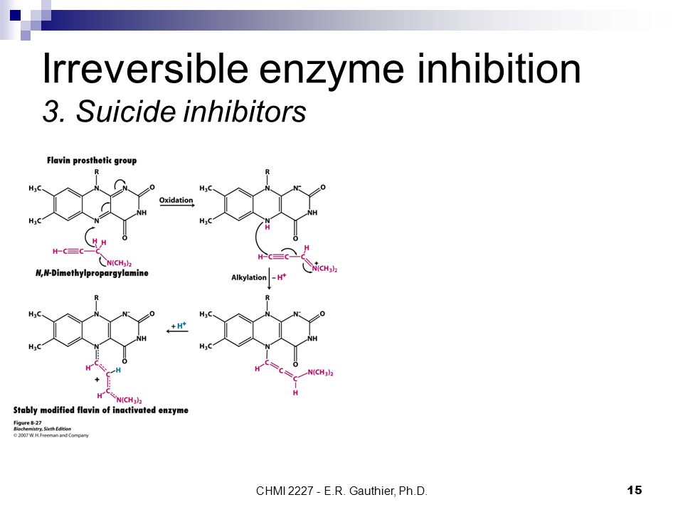 CHMI E.R. Gauthier, Ph.D.15 Irreversible enzyme inhibition 3. Suicide inhibitors