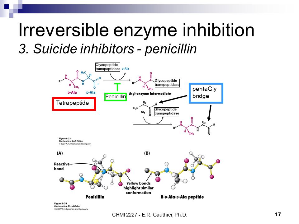 CHMI E.R. Gauthier, Ph.D.17 Irreversible enzyme inhibition 3.