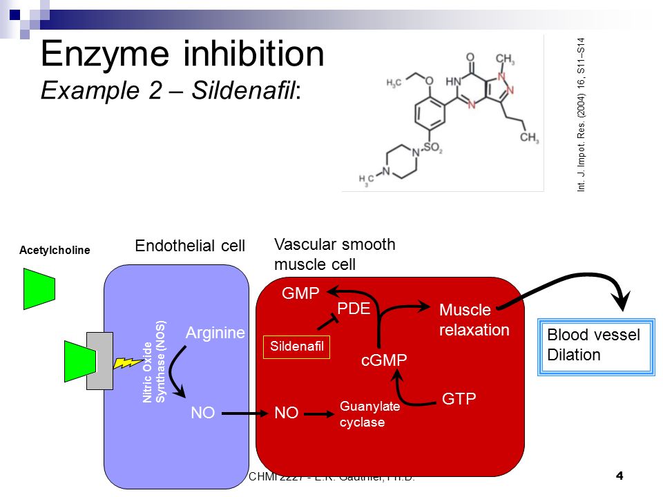 CHMI E.R. Gauthier, Ph.D.4 Enzyme inhibition Example 2 – Sildenafil: Int.