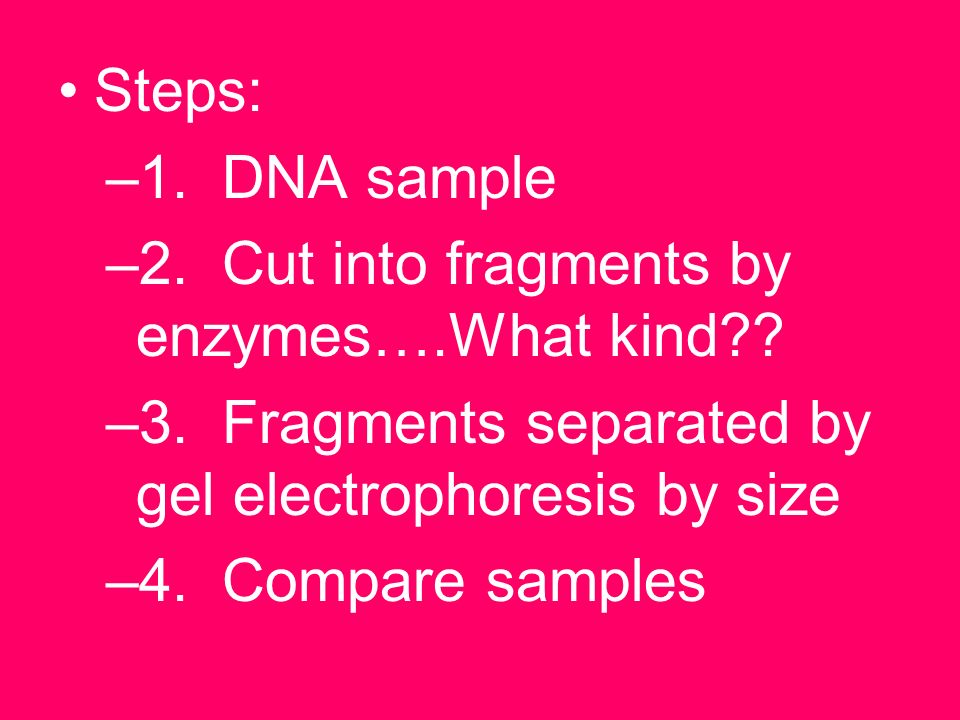 4.DNA Fingerprinting Uses: convict or acquit criminals, paternity test, and identifying and cataloging species No two individuals have the same DNA sequence except identical twins