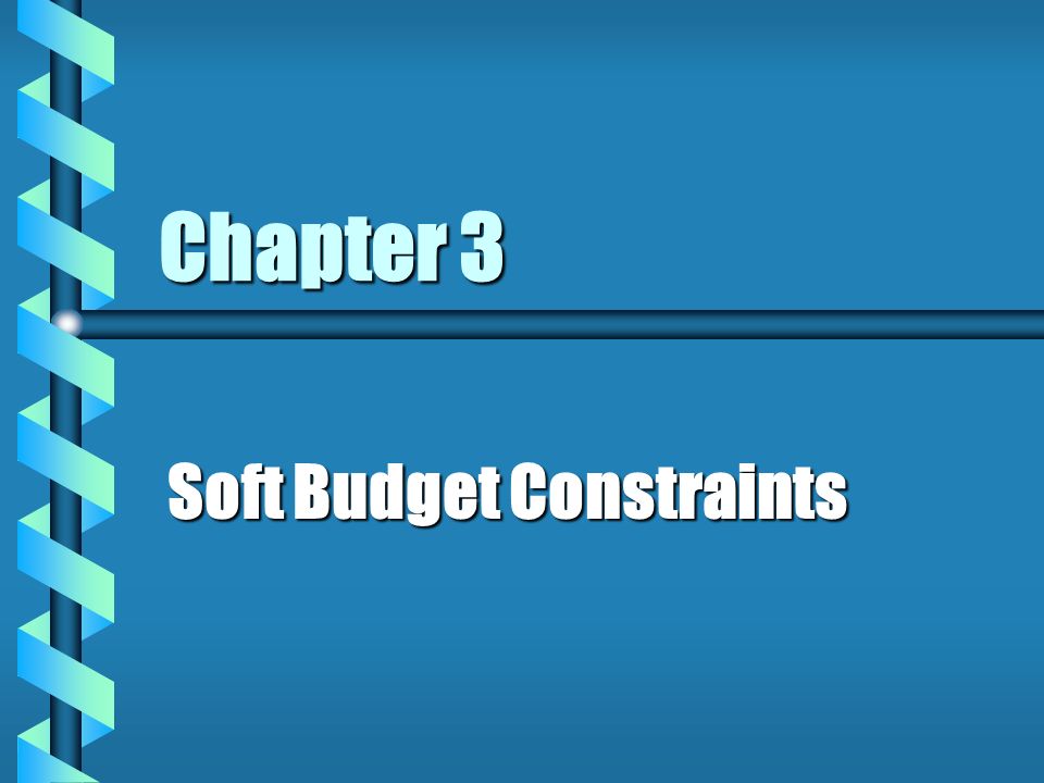 Chapter 3 Soft Budget Constraints