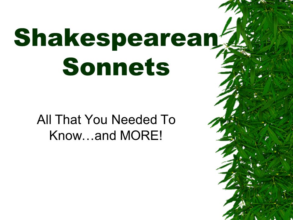 Shakespearean Sonnets All That You Needed To Know…and MORE!
