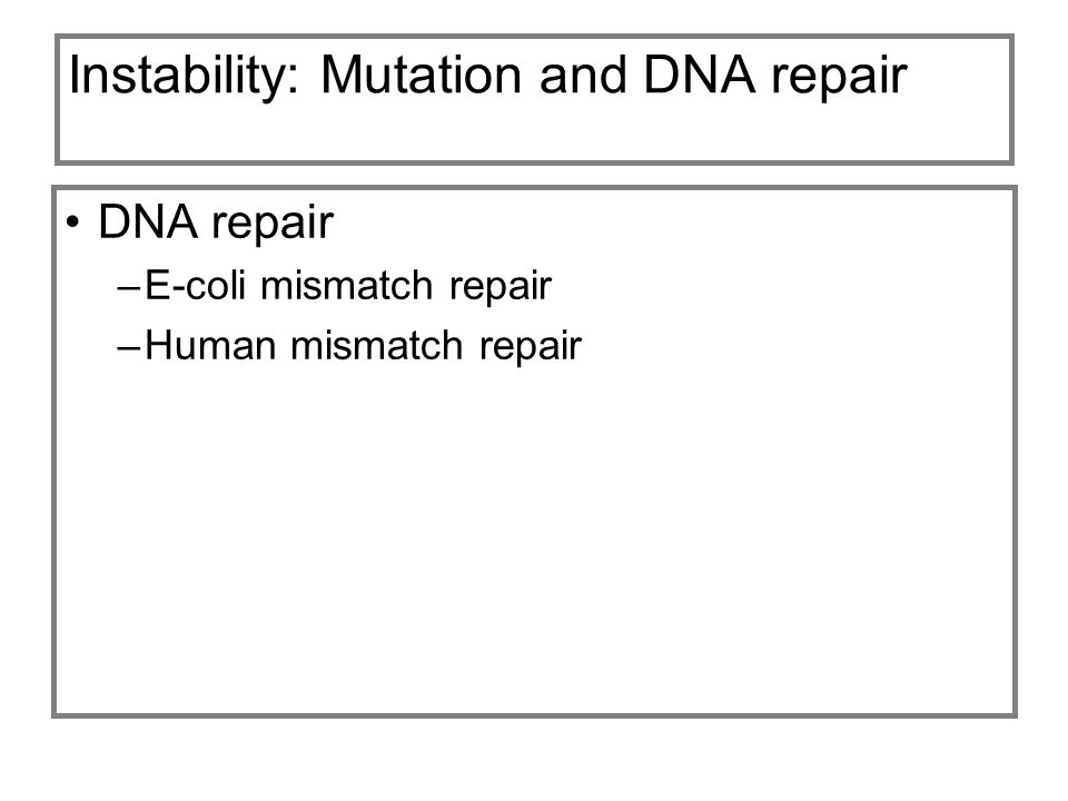 Instability: Mutation and DNA repair DNA repair –E-coli mismatch repair –Human mismatch repair