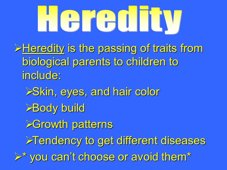  Heredity is the passing of traits from biological parents to children to include:  Skin, eyes, and hair color  Body build  Growth patterns  Tendency to get different diseases  * you can’t choose or avoid them*