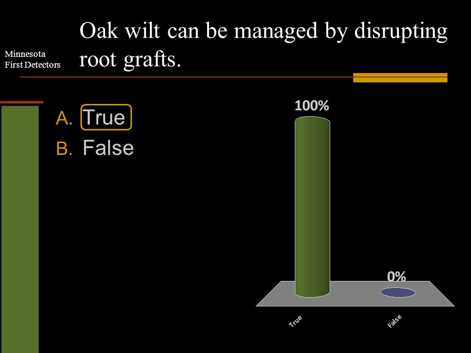 Minnesota First Detectors Oak wilt can be managed by disrupting root grafts. A. True B. False