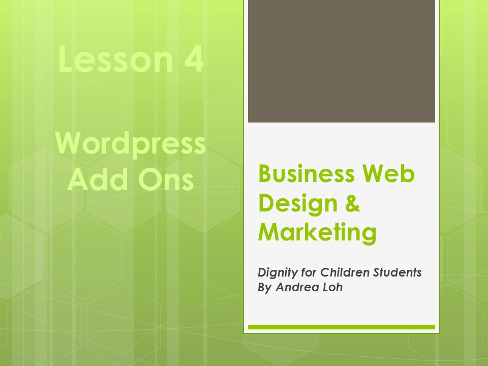 Business Web Design & Marketing Dignity for Children Students By Andrea Loh Lesson 4 Wordpress Add Ons