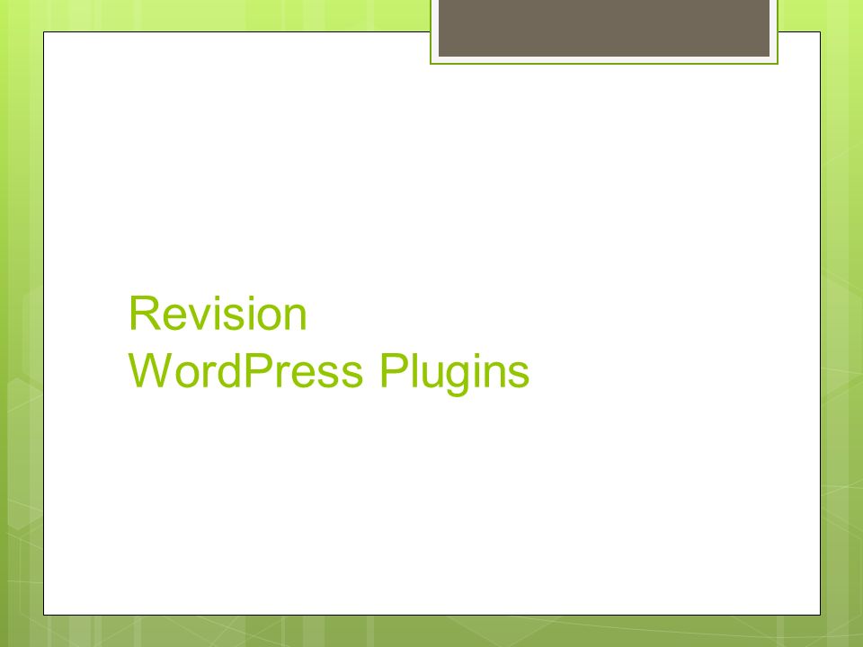 Revision WordPress Plugins