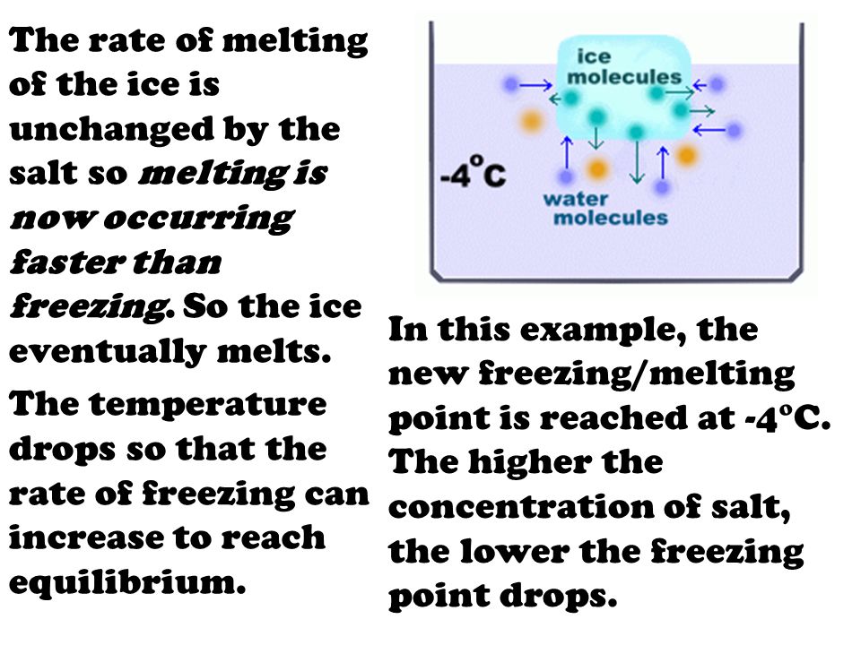 Freezing Point Depression When the rate of freezing is the same as the rate  of melting, the amount of ice and the amount of water won't change. The. -  ppt download
