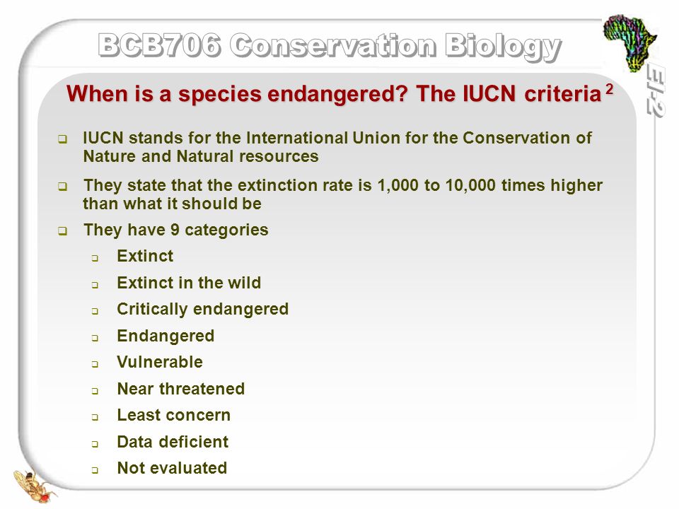   IUCN stands for the International Union for the Conservation of Nature and Natural resources   They state that the extinction rate is 1,000 to 10,000 times higher than what it should be   They have 9 categories   Extinct   Extinct in the wild   Critically endangered   Endangered   Vulnerable   Near threatened   Least concern   Data deficient   Not evaluated When is a species endangered.