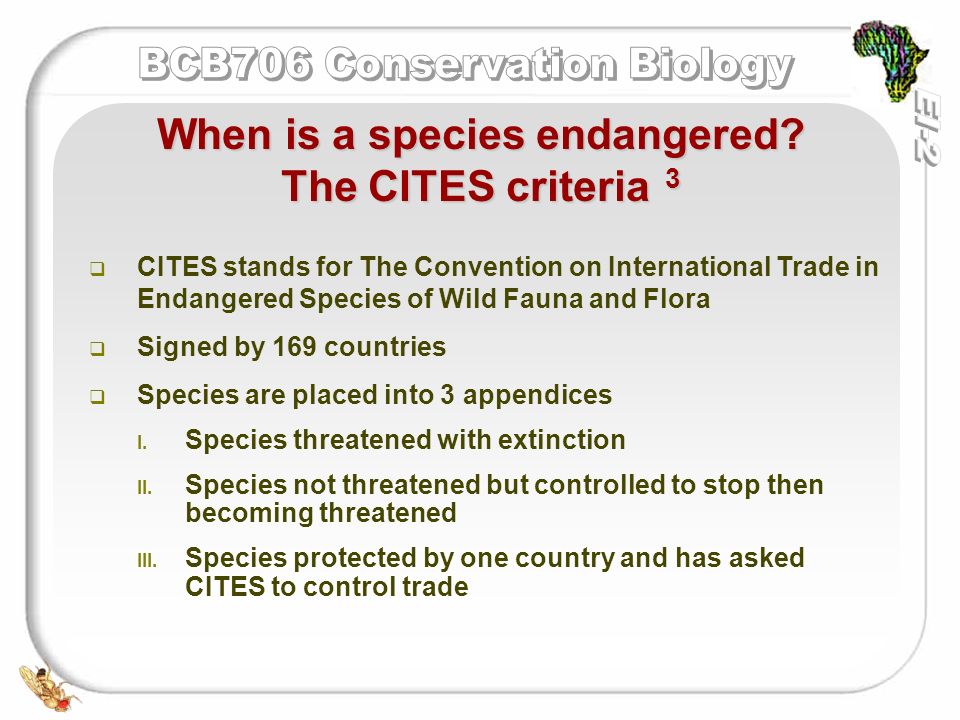   CITES stands for The Convention on International Trade in Endangered Species of Wild Fauna and Flora   Signed by 169 countries   Species are placed into 3 appendices I.