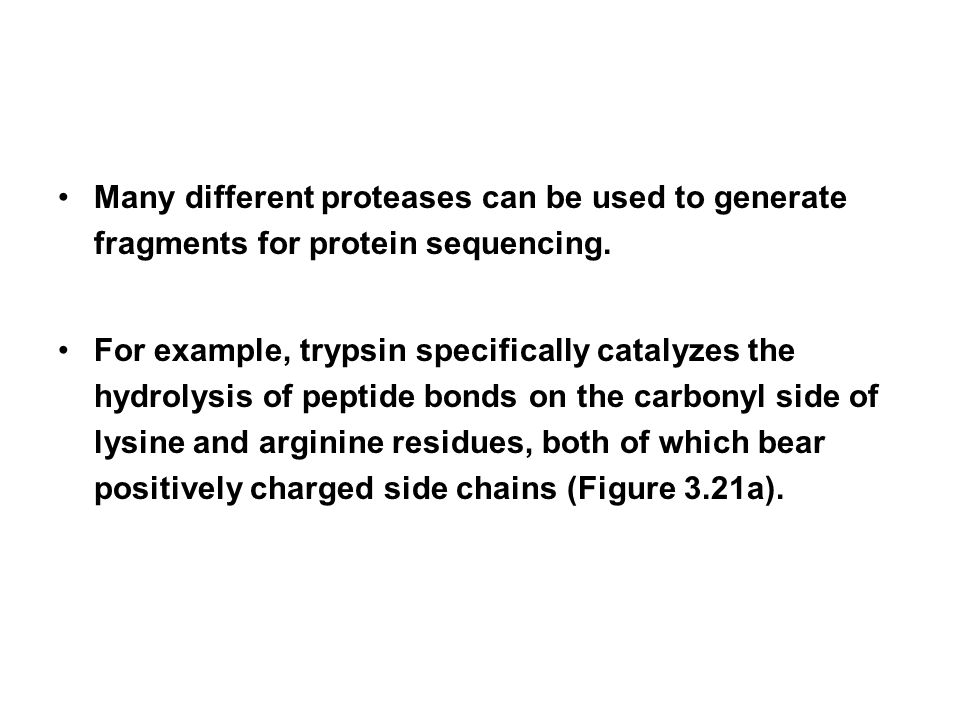 Many different proteases can be used to generate fragments for protein sequencing.