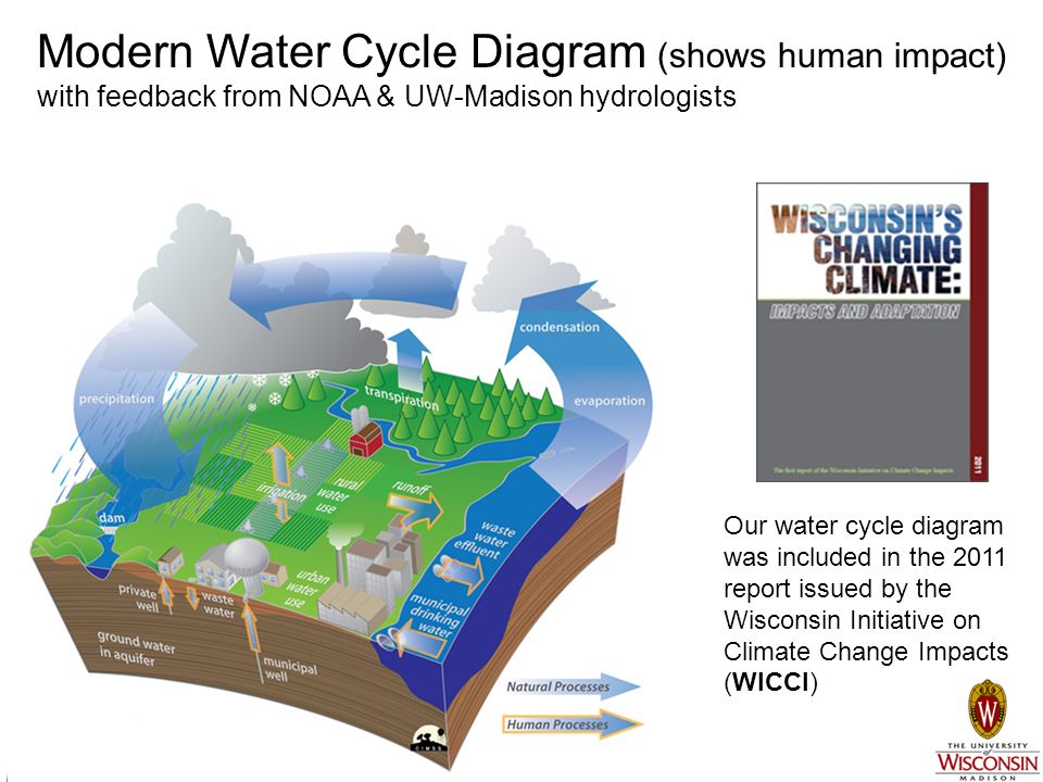 Modern Water Cycle Diagram (shows human impact) with feedback from NOAA & UW-Madison hydrologists Our water cycle diagram was included in the 2011 report issued by the Wisconsin Initiative on Climate Change Impacts (WICCI)