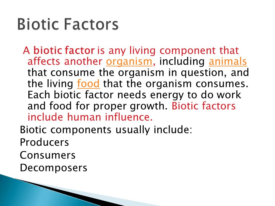 A biotic factor is any living component that affects another organism, including animals that consume the organism in question, and the living food that the organism consumes.
