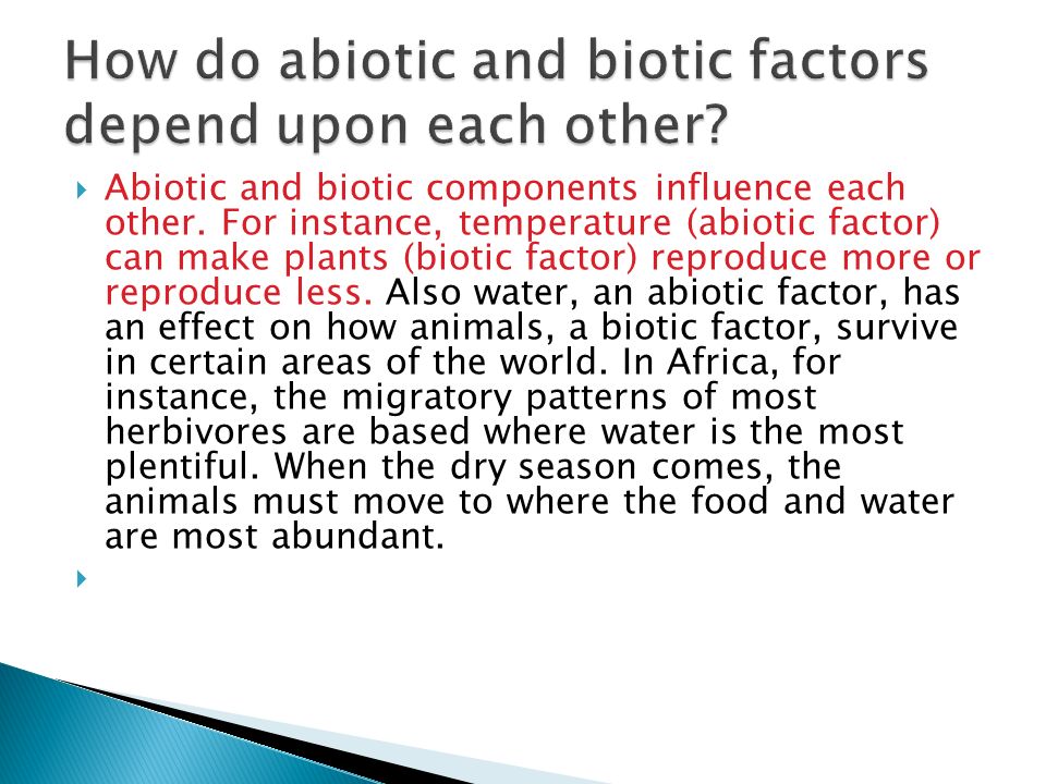  Abiotic and biotic components influence each other.