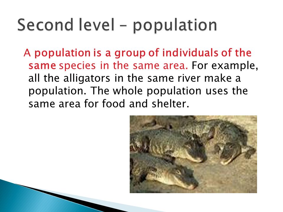 A population is a group of individuals of the same species in the same area.